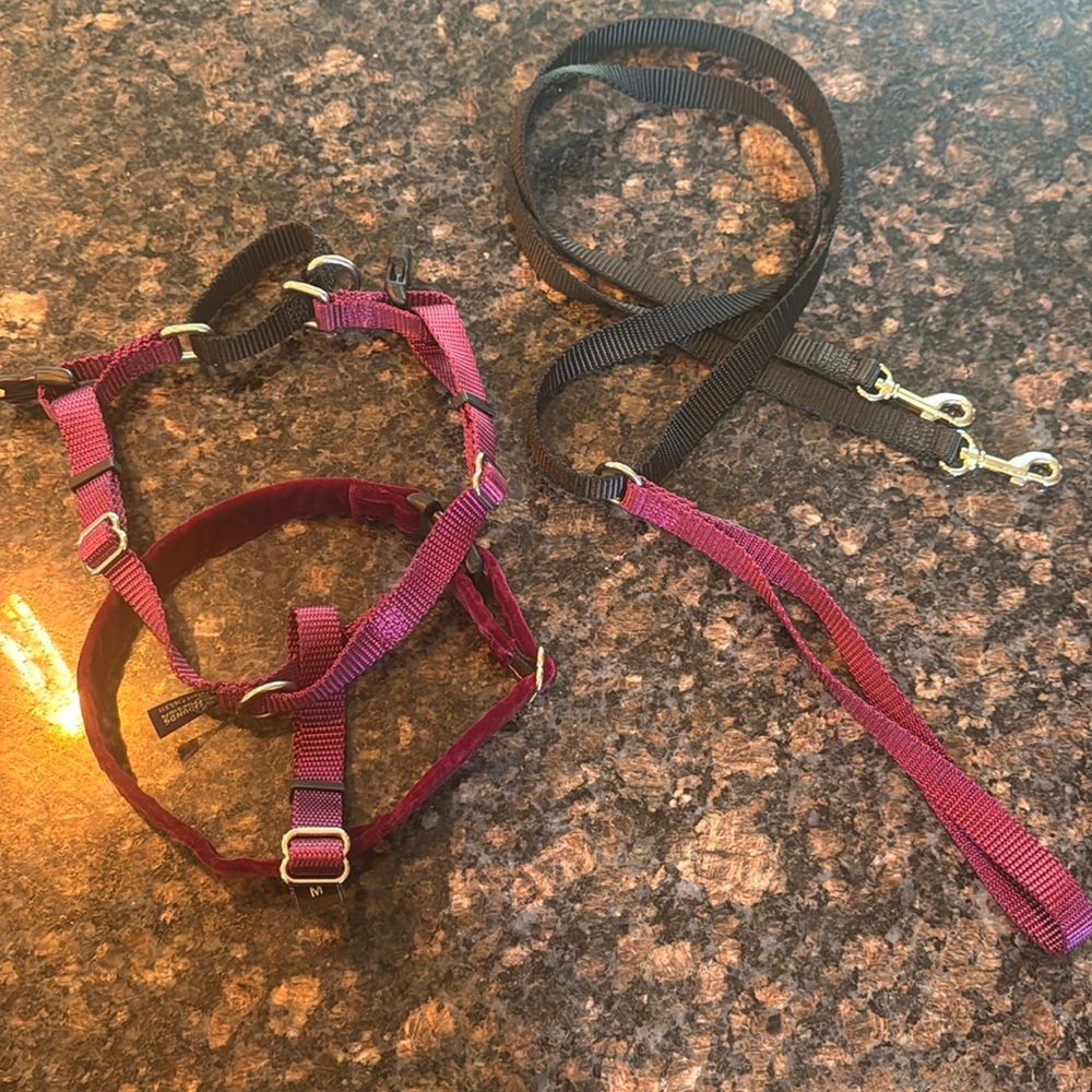2 Hounds Design Freedom no pull Nylon Dog Harness